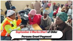 SASSA Older Persons Grant: Verify Your September 2025 Payment Date Starting September 3